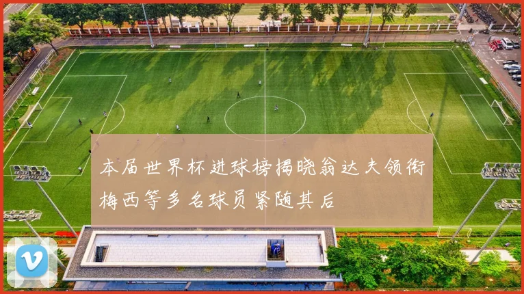 本届世界杯进球榜揭晓翁达夫领衔梅西等多名球员紧随其后