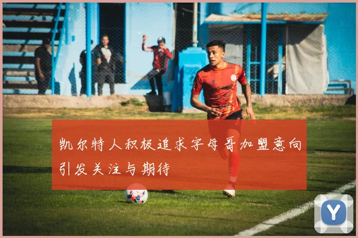 凯尔特人积极追求字母哥加盟意向引发关注与期待